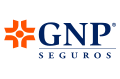 gnp